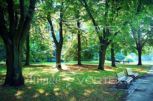 Park / outdoor royalty free stock image #461692189
