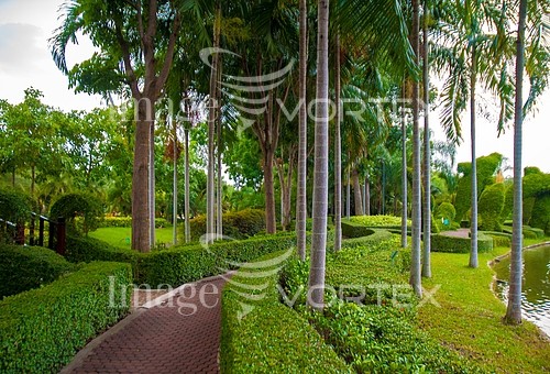 Park / outdoor royalty free stock image #464305893