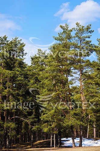 Park / outdoor royalty free stock image #466296408