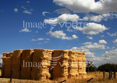 Industry / agriculture royalty free stock image #468025224