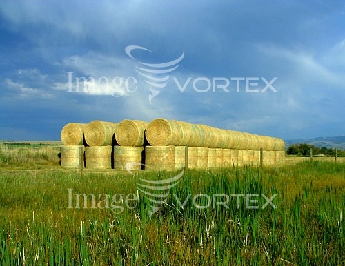 Industry / agriculture royalty free stock image #468387314