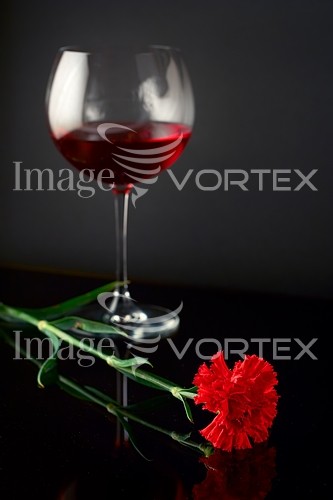 Food / drink royalty free stock image #481004558