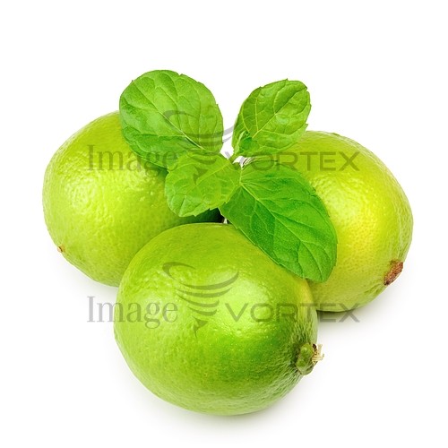 Food / drink royalty free stock image #482021679