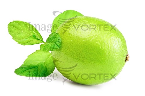 Food / drink royalty free stock image #482037611