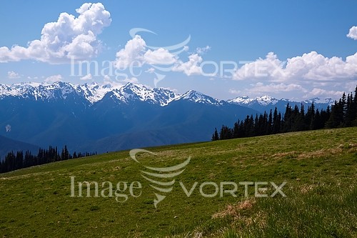Nature / landscape royalty free stock image #482783380