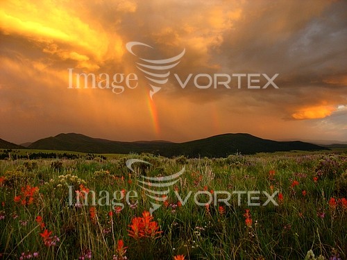 Sunset / sunrise royalty free stock image #485023243
