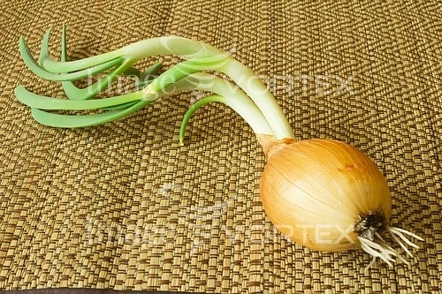Food / drink royalty free stock image #490938743