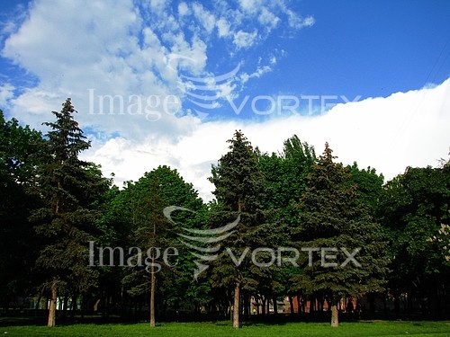 Park / outdoor royalty free stock image #491654463