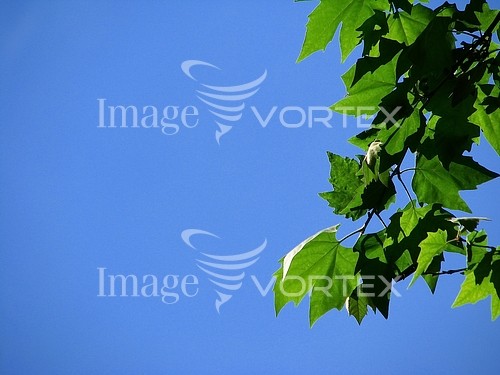Nature / landscape royalty free stock image #492934581