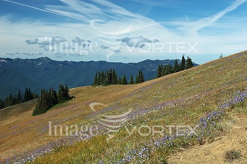 Nature / landscape royalty free stock image #492508434