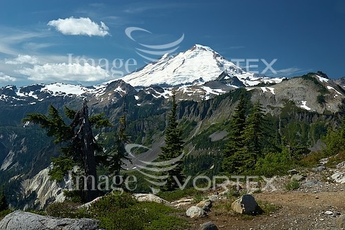 Nature / landscape royalty free stock image #492559217