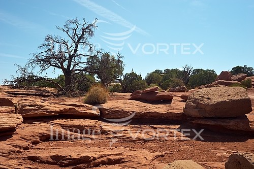 Nature / landscape royalty free stock image #492413411
