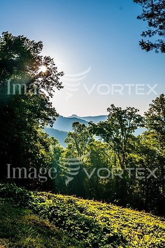 Nature / landscape royalty free stock image #496776491