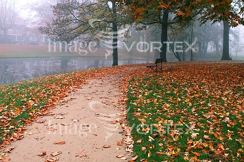 Park / outdoor royalty free stock image #496250080