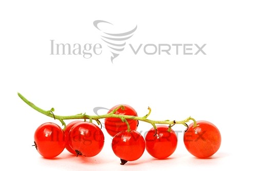 Food / drink royalty free stock image #496396228