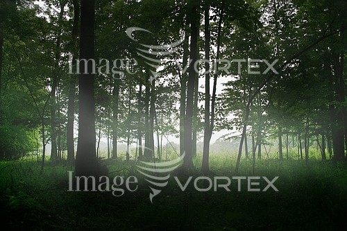 Nature / landscape royalty free stock image #506425393