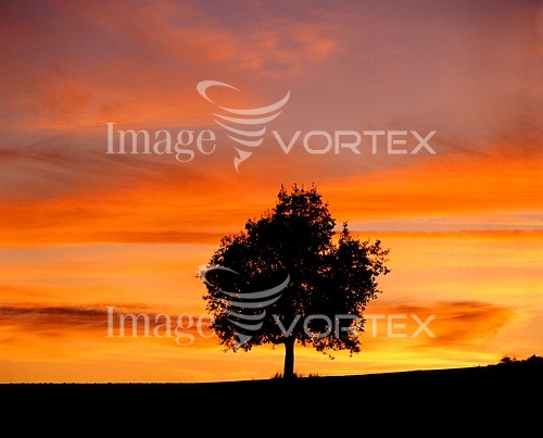 Sunset / sunrise royalty free stock image #515695196