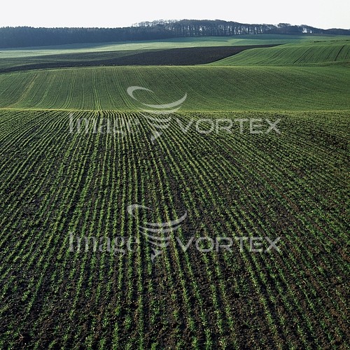 Industry / agriculture royalty free stock image #517997935