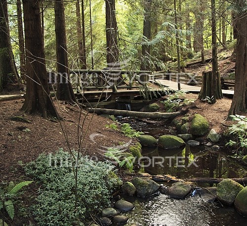 Nature / landscape royalty free stock image #521914203