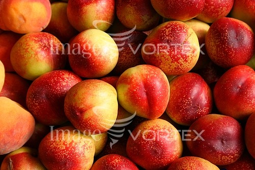 Food / drink royalty free stock image #523049439