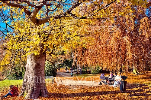 Park / outdoor royalty free stock image #525282406
