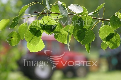 Industry / agriculture royalty free stock image #535445723