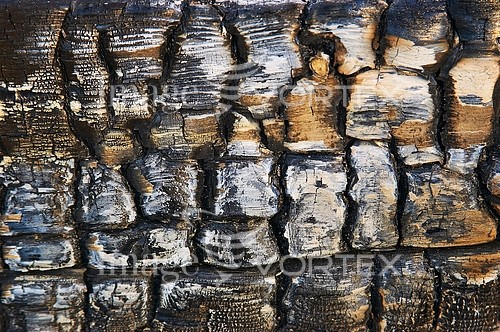 Background / texture royalty free stock image #536030435