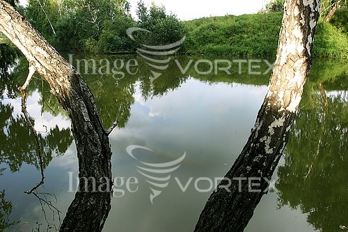 Nature / landscape royalty free stock image #536902365