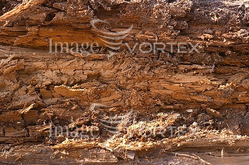 Background / texture royalty free stock image #536003619