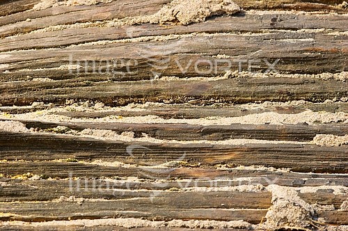 Background / texture royalty free stock image #536015581