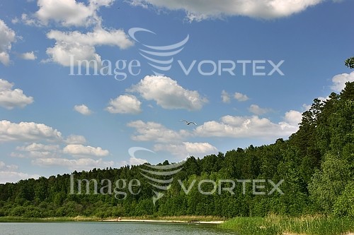 Nature / landscape royalty free stock image #541621599
