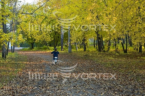 Park / outdoor royalty free stock image #543215958