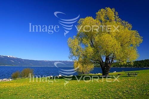 Nature / landscape royalty free stock image #543555356