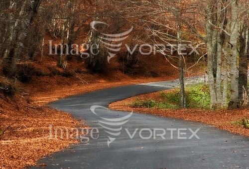 Park / outdoor royalty free stock image #544909644