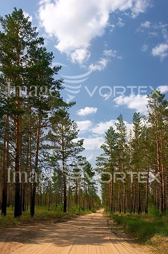 Nature / landscape royalty free stock image #546050711