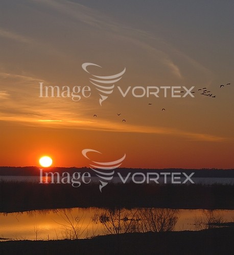 Sunset / sunrise royalty free stock image #556241325