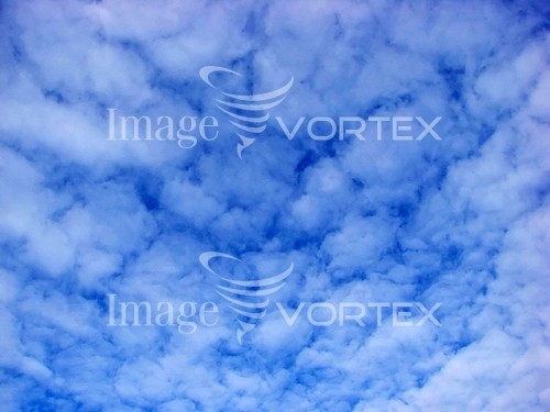 Background / texture royalty free stock image #557180896