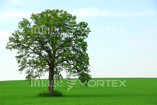 Nature / landscape royalty free stock image #568937575