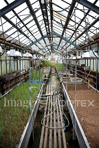 Industry / agriculture royalty free stock image #570868924