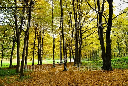 Nature / landscape royalty free stock image #572123751