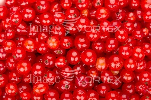 Background / texture royalty free stock image #572530396