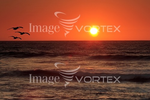 Sunset / sunrise royalty free stock image #572840880