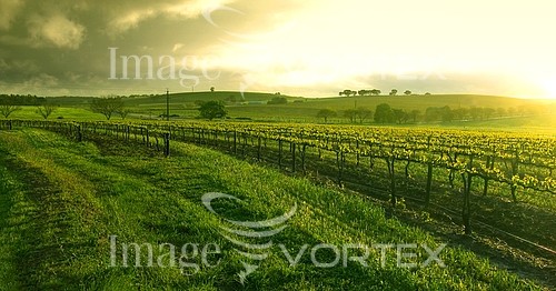 Industry / agriculture royalty free stock image #583952416