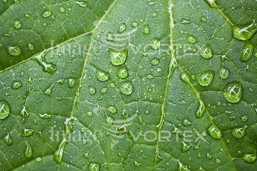 Background / texture royalty free stock image #586836044