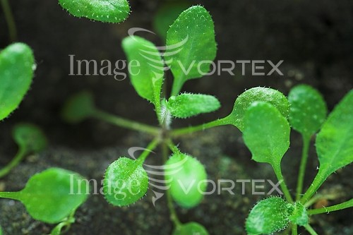 Industry / agriculture royalty free stock image #587028840