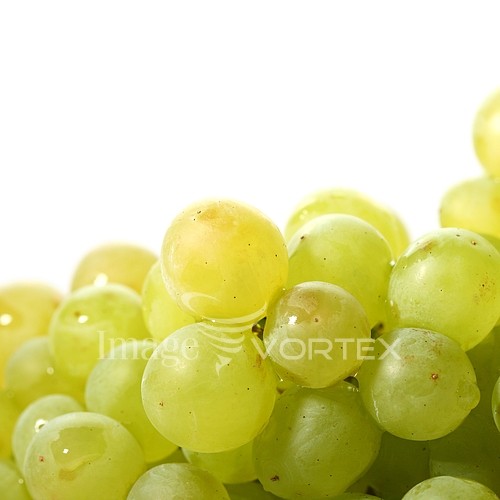Food / drink royalty free stock image #588070324