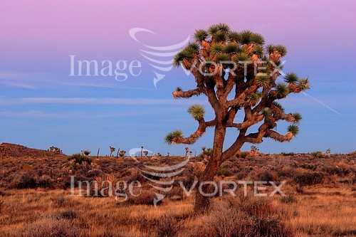 Nature / landscape royalty free stock image #588366527