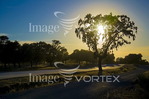 Nature / landscape royalty free stock image #588435534