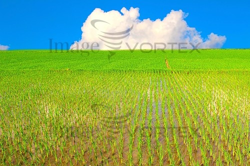 Industry / agriculture royalty free stock image #588306512