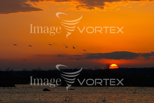 Sunset / sunrise royalty free stock image #590172851
